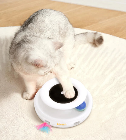 ROJECO 2-in-1 Interactive Pet Toy