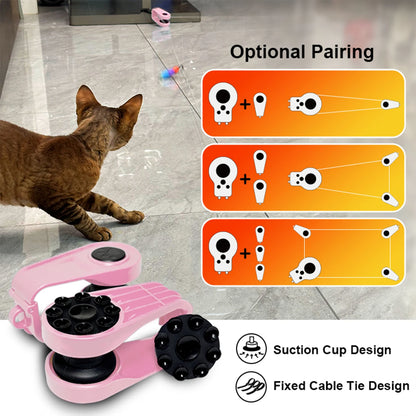 Simulated Cat Fitness Activity Wheel