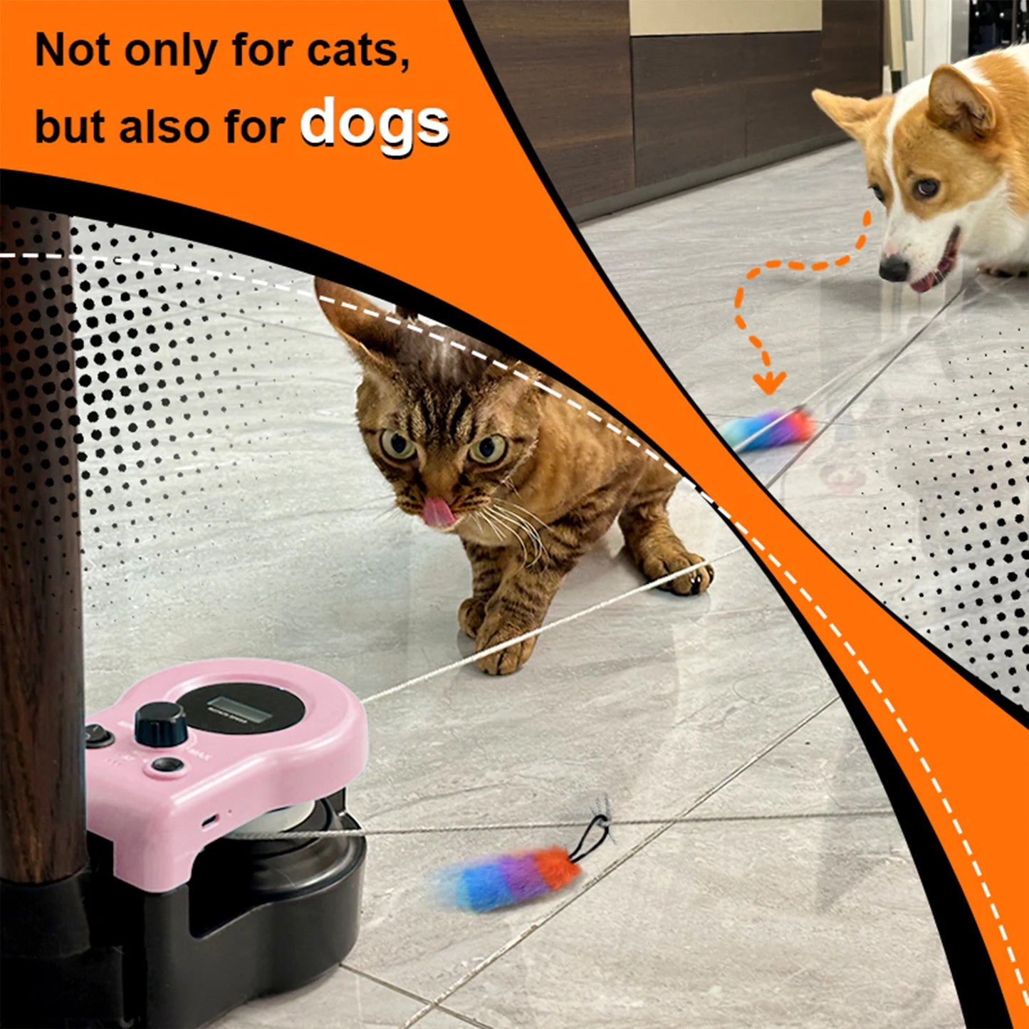 Simulated Cat Fitness Activity Wheel