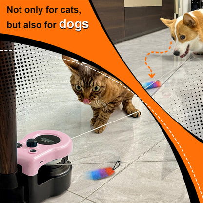 Simulated Cat Fitness Activity Wheel