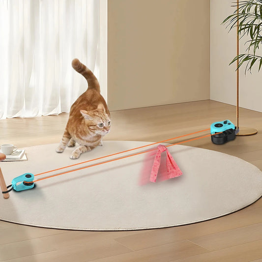 Simulated Cat Fitness Activity Wheel