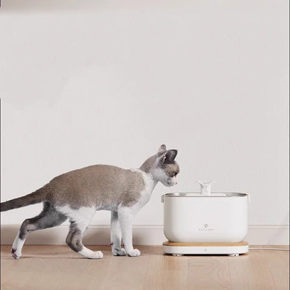 Smart Silent Automatic Cat Fountain