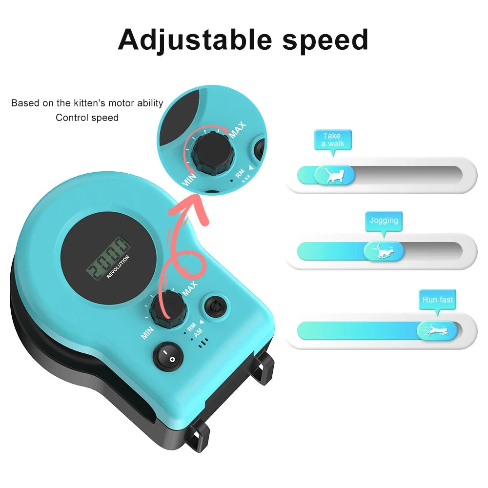Simulated Cat Fitness Activity Wheel