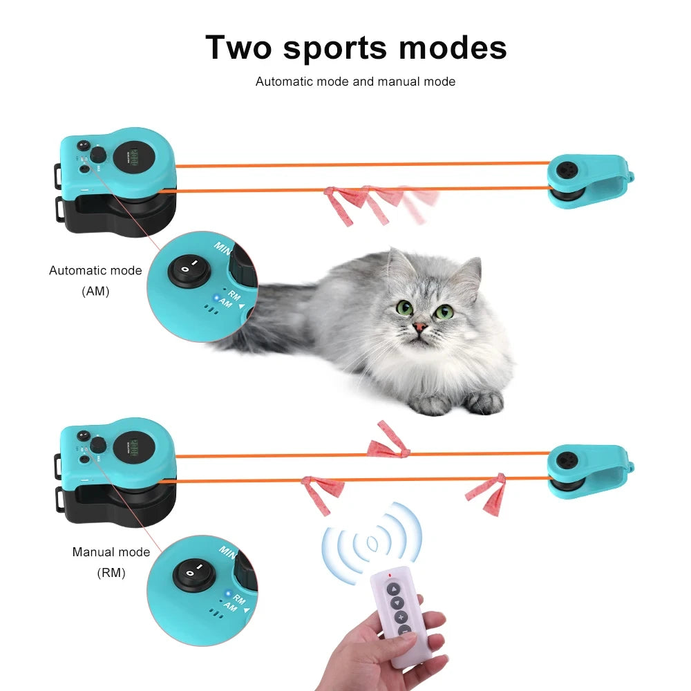 Simulated Cat Fitness Activity Wheel