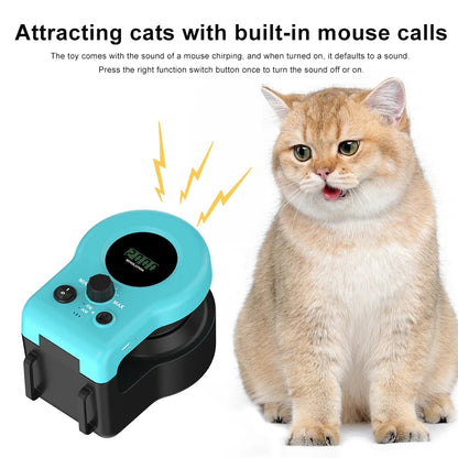 Simulated Cat Fitness Activity Wheel