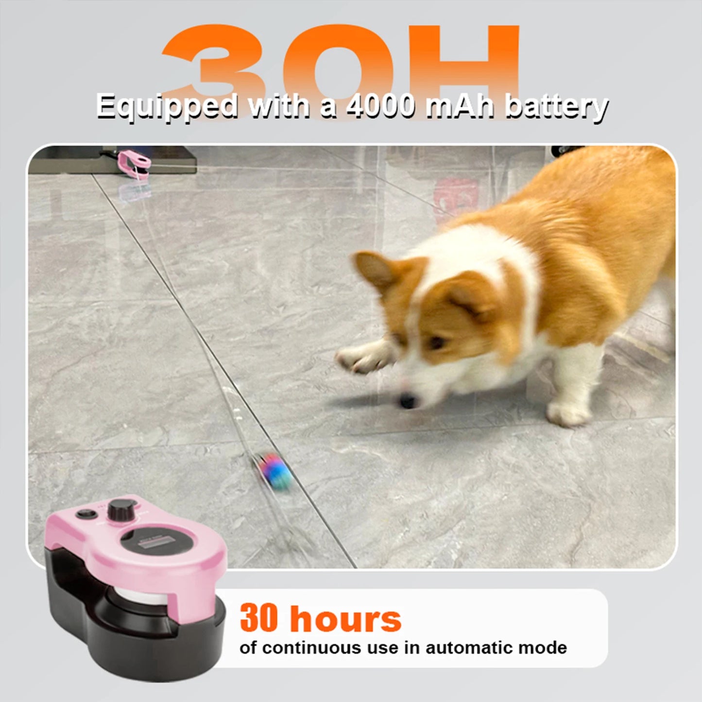 Simulated Cat Fitness Activity Wheel