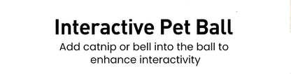 ROJECO 2-in-1 Interactive Pet Toy