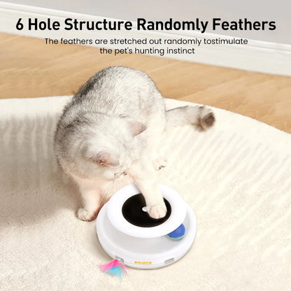 ROJECO 2-in-1 Interactive Pet Toy